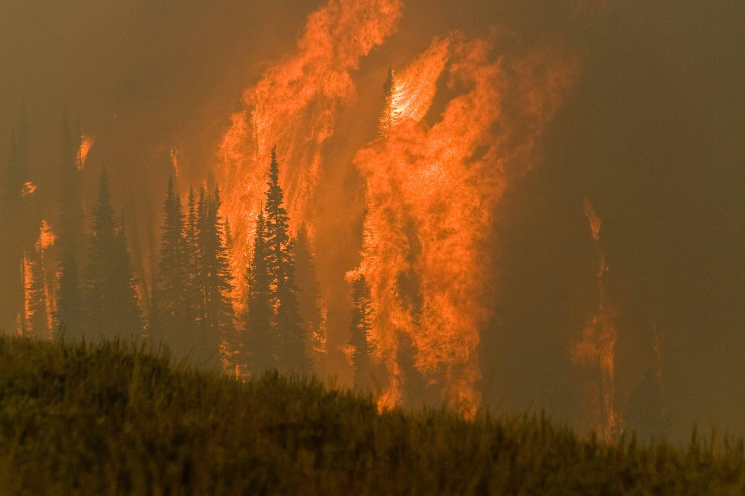Por que homens se engajam menos na crise climática?